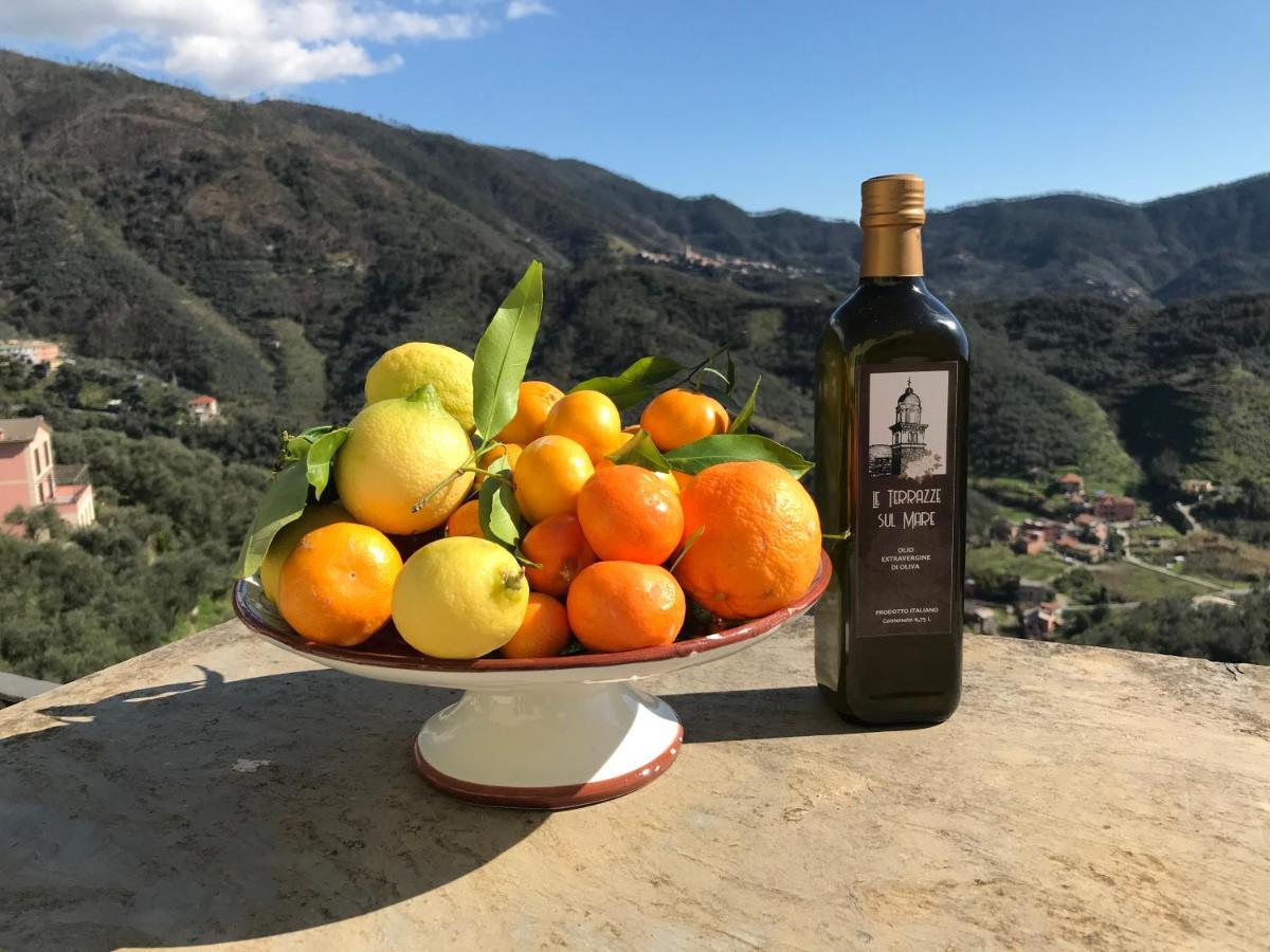 Agriturismo Sancristoforo 레반토 외부 사진