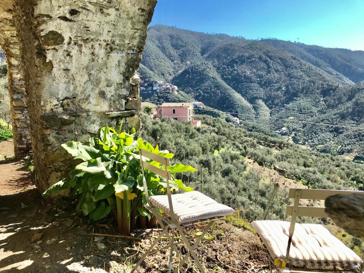 Agriturismo Sancristoforo 레반토 외부 사진